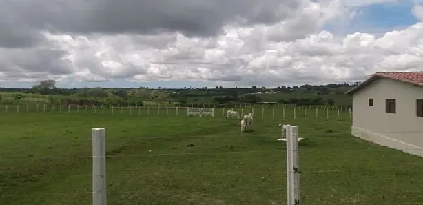 Fazenda / Sítio / Chácara à venda, 250m² no Centro, Brejinho