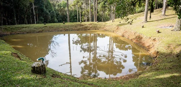 Fazenda / Sítio / Chácara à venda, 72600m² no Centro, São José dos Pinhais