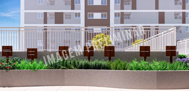 Apartamento com 2 Quartos à venda, 35m² no Guaianazes, São Paulo