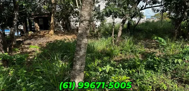 Casa de Condomínio com 4 Quartos à venda, 1000m² no Centro, Alexânia