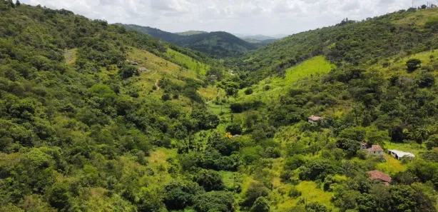 Fazenda / Sítio / Chácara com 3 Quartos à venda, 107000m² no Matriz, Vitória de Santo Antão