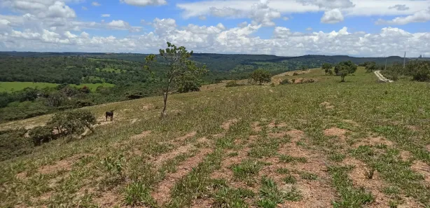 Fazenda / Sítio / Chácara com 5 Quartos à venda, 360000m² no Área Rural de Santo Antônio do Descoberto, Santo Antônio do Descoberto
