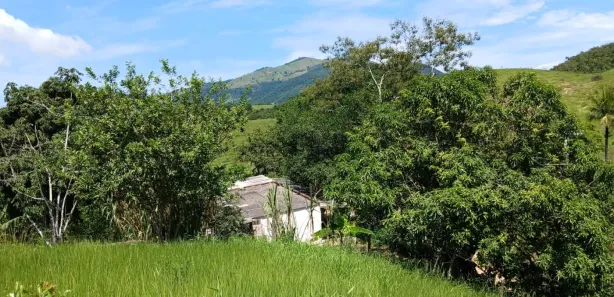 Fazenda / Sítio / Chácara com 2 Quartos à venda, 20000m² no Bazílio, Rio Bonito