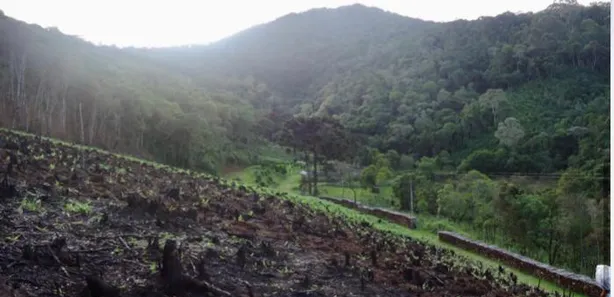 Fazenda / Sítio / Chácara à venda, 919600000m² no , Rio Branco do Sul