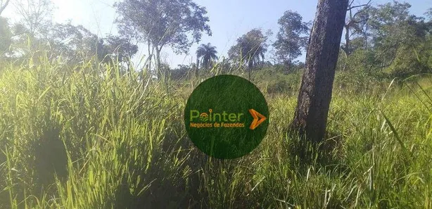 Fazenda / Sítio / Chácara à venda, 3660000m² no , Pedro Afonso