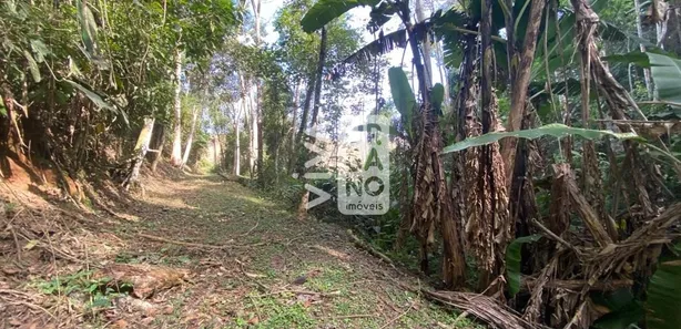 Fazenda / Sítio / Chácara com 2 Quartos à venda, 48400m² no Arrozal, Piraí