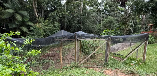 Fazenda / Sítio / Chácara com 3 Quartos à venda, 30000m² no Amparo, Nova Friburgo