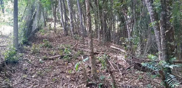 Terreno / Lote / Condomínio à venda, 1461m² no Pirucaia, Mairiporã