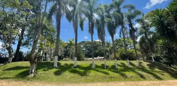 Fazenda / Sítio / Chácara com 4 Quartos para alugar, 10000m² no Centro Cívico, Mogi das Cruzes