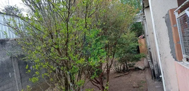 Fazenda / Sítio / Chácara com 4 Quartos à venda, 200m² no Chácaras Reunidas Igarapés, Jacareí