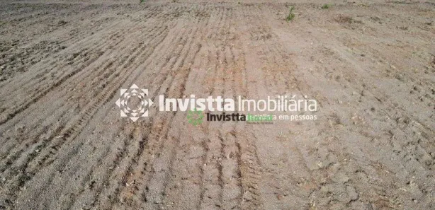 Fazenda / Sítio / Chácara com 4 Quartos à venda, 890m² no Centro, Cristalândia