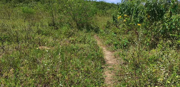 Fazenda / Sítio / Chácara com 3 Quartos à venda, 11200m² no , Vera Cruz