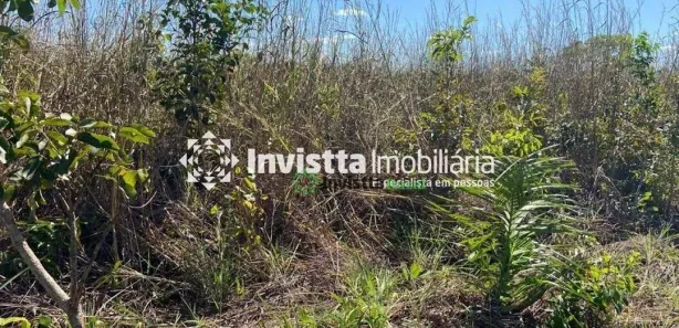Fazenda / Sítio / Chácara à venda, 250m² no Centro, Cristalândia