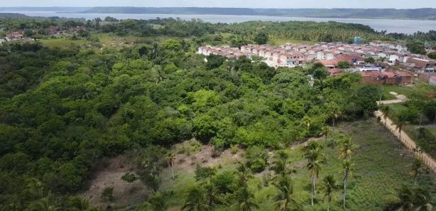 Fazenda / Sítio / Chácara à venda, 29709m² no , Marechal Deodoro
