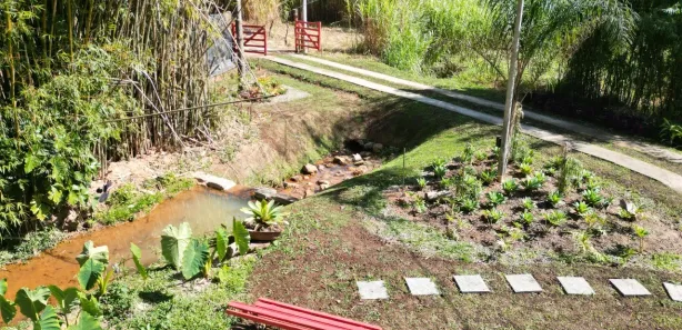 Fazenda / Sítio / Chácara com 1 Quarto à venda, 50m² no Boa Vista, Paty do Alferes