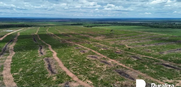 Fazenda / Sítio / Chácara à venda, 1413m² no , Rio Sono