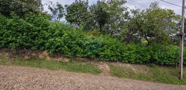 Fazenda / Sítio / Chácara à venda, 4234m² no São João Batista, Santa Luzia