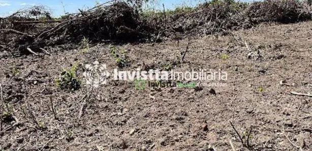 Fazenda / Sítio / Chácara com 1 Quarto à venda, 900m² no Centro, Pium