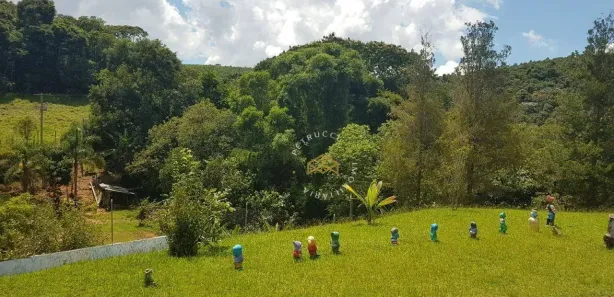 Fazenda / Sítio / Chácara com 2 Quartos à venda, 200m² no Vicente Nunes, Nazaré Paulista