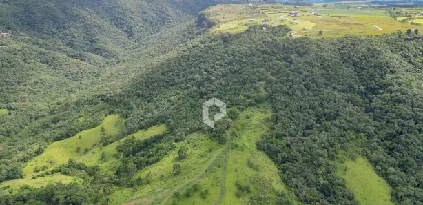 Terreno / Lote / Condomínio à venda, 22003m² no São Luiz do Purunã, Balsa Nova