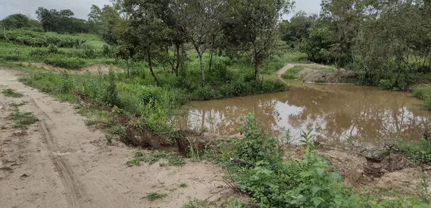 Terreno / Lote / Condomínio à venda, 20000m² no , Fortuna de Minas