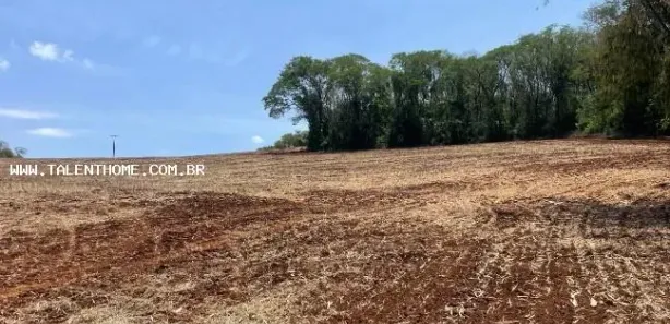 Terreno / Lote Comercial à venda, 192000m² no , Uraí