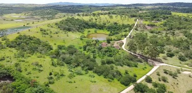 Fazenda / Sítio / Chácara com 3 Quartos à venda, 120000m² no , Sairé