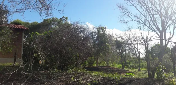 Fazenda / Sítio / Chácara com 1 Quarto à venda, 200m² no Alpes Suiços, Gravatá