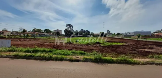 Terreno / Lote / Condomínio para alugar, 10000m² no Uvaranas, Ponta Grossa