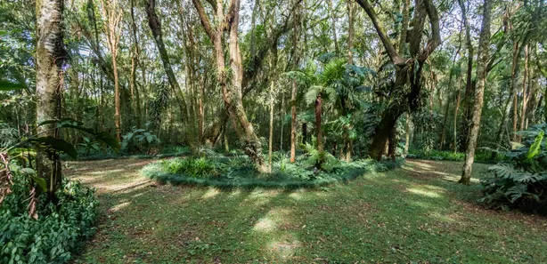 Fazenda / Sítio / Chácara à venda, 31500m² no Guarani, Colombo