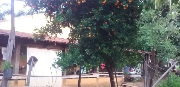 Fazenda / Sítio / Chácara à venda, 508200m² no Jardim Constância, Francisco Morato