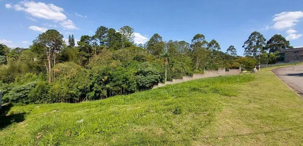 Terreno / Lote / Condomínio à venda, 502m² no Portal do Santa Paula, Cotia