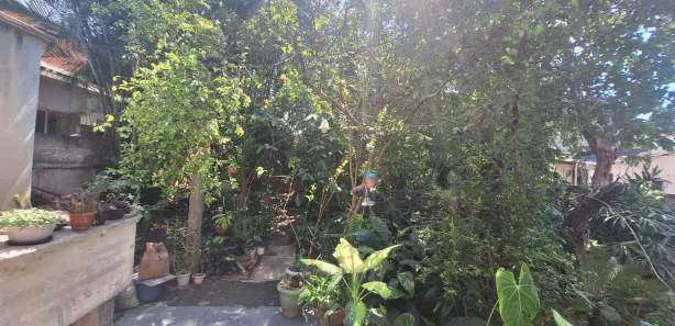 Casa com 2 Quartos para alugar, 80m² no Heliópolis, Belford Roxo