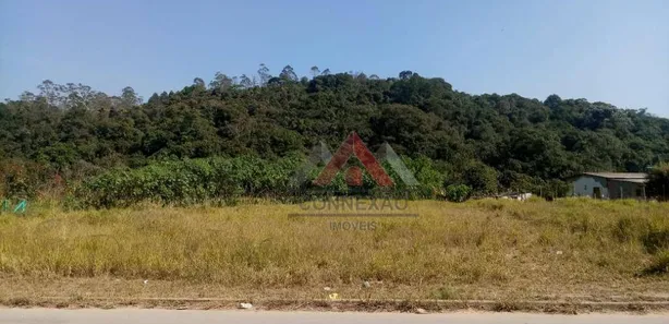 Terreno / Lote / Condomínio à venda, 8000m² no Vila São Pedro, Suzano