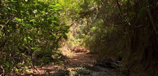 Fazenda / Sítio / Chácara com 3 Quartos à venda, 14000m² no , Brasília