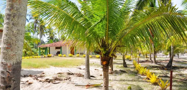 Terreno / Lote / Condomínio à venda, 60000m² no Canavieiras, Canavieiras
