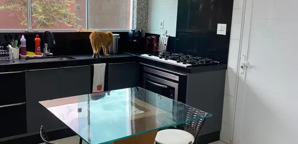 Casa com 3 Quartos à venda, 250m² no Setor Habitacional Vicente Pires - Trecho 3, Brasília