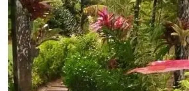 Casa com 3 Quartos à venda, 5712m² no Centro, Camaçari