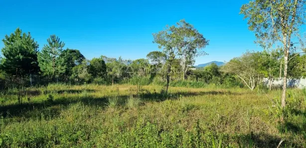 Fazenda / Sítio / Chácara à venda, 2326m² no Chacaras Olhos D Agua, Campina Grande do Sul