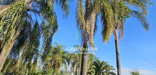 Fazenda / Sítio / Chácara à venda, 5930m² no Jardim Araújo, Votorantim