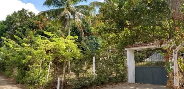 Fazenda / Sítio / Chácara com 3 Quartos à venda, 285m² no Coqueiro Seco, Coqueiro Seco