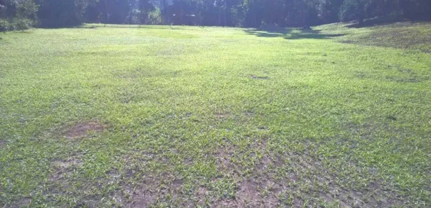 Fazenda / Sítio / Chácara com 3 Quartos à venda, 630m² no Jardim Sinki, Franco da Rocha