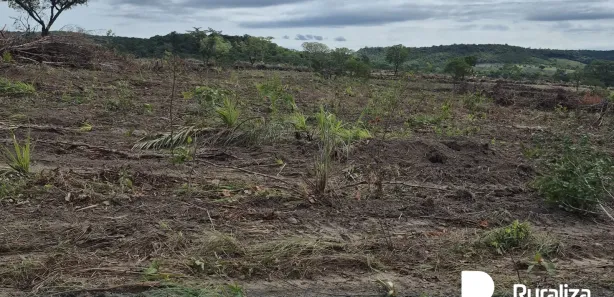 Fazenda / Sítio / Chácara à venda, 474m² no , Rio Sono