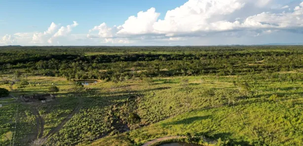 Fazenda / Sítio / Chácara com 4 Quartos à venda, 4065600m² no , Paranã