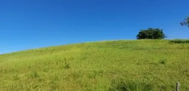 Fazenda / Sítio / Chácara com 2 Quartos à venda, 180000m² no Olaria, Nova Friburgo