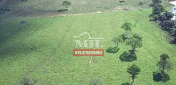 Fazenda / Sítio / Chácara à venda no Área Rural de Formosa, Formosa