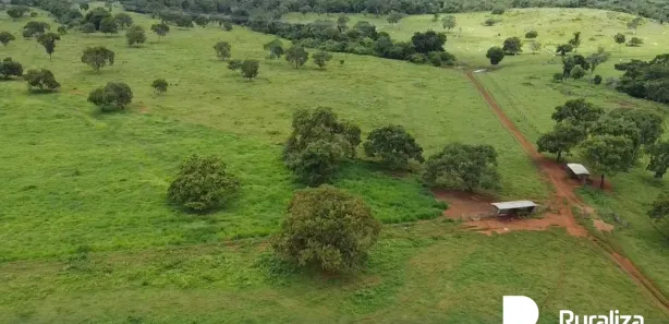 Fazenda / Sítio / Chácara à venda, 300m² no , Guaraí