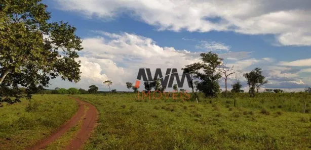 Fazenda / Sítio / Chácara à venda, 8030000m² no Centro, Cristalândia