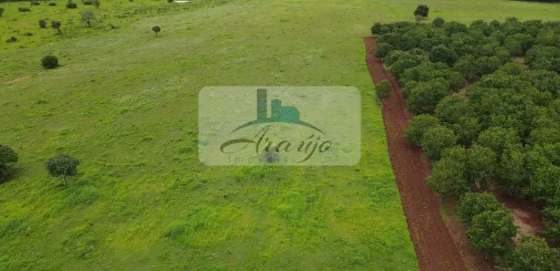 Fazenda / Sítio / Chácara com 2 Quartos à venda, 661m² no , Lagoa da Confusão