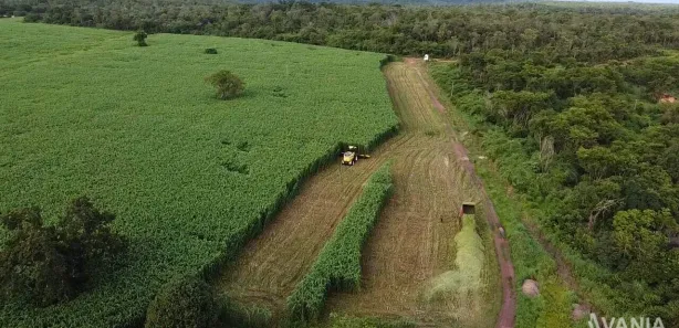 Fazenda / Sítio / Chácara à venda, 726000m² no Setor Central, Ponte Alta do Tocantins